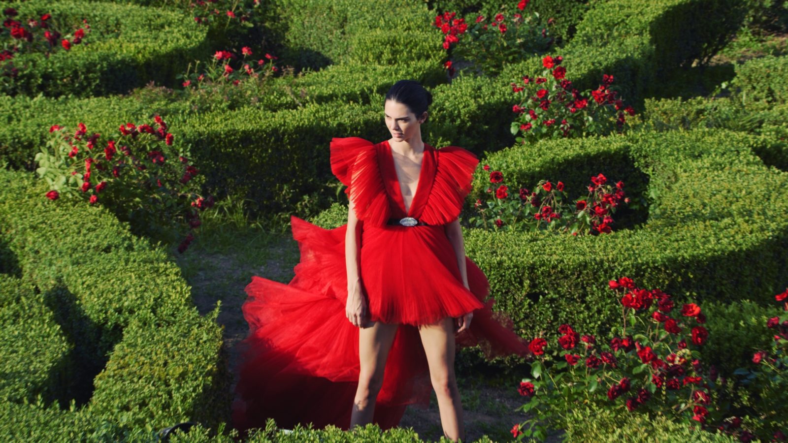 GIAMBATTISTA VALLI - Coffee & TV